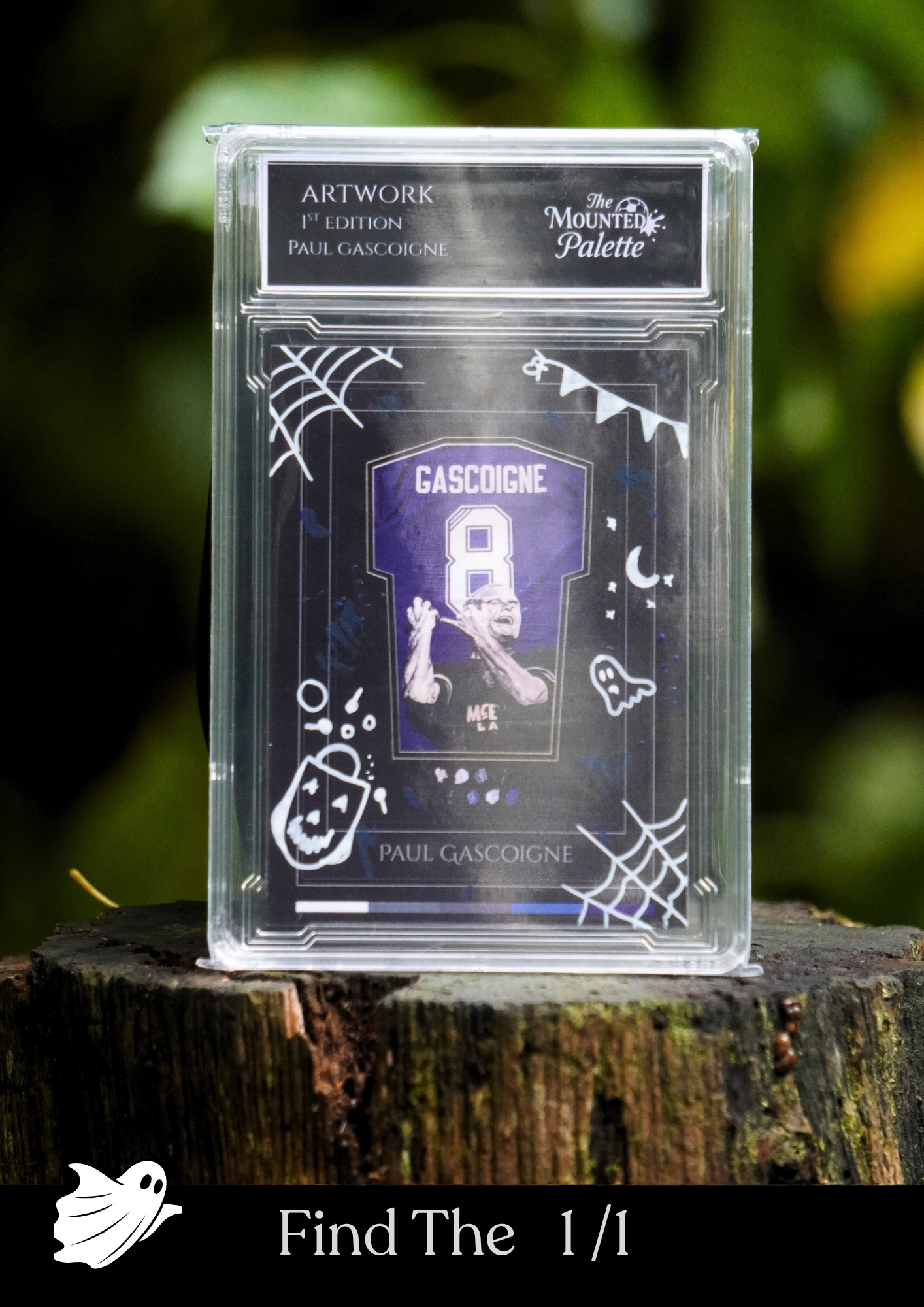 Trading Card Mystery Box