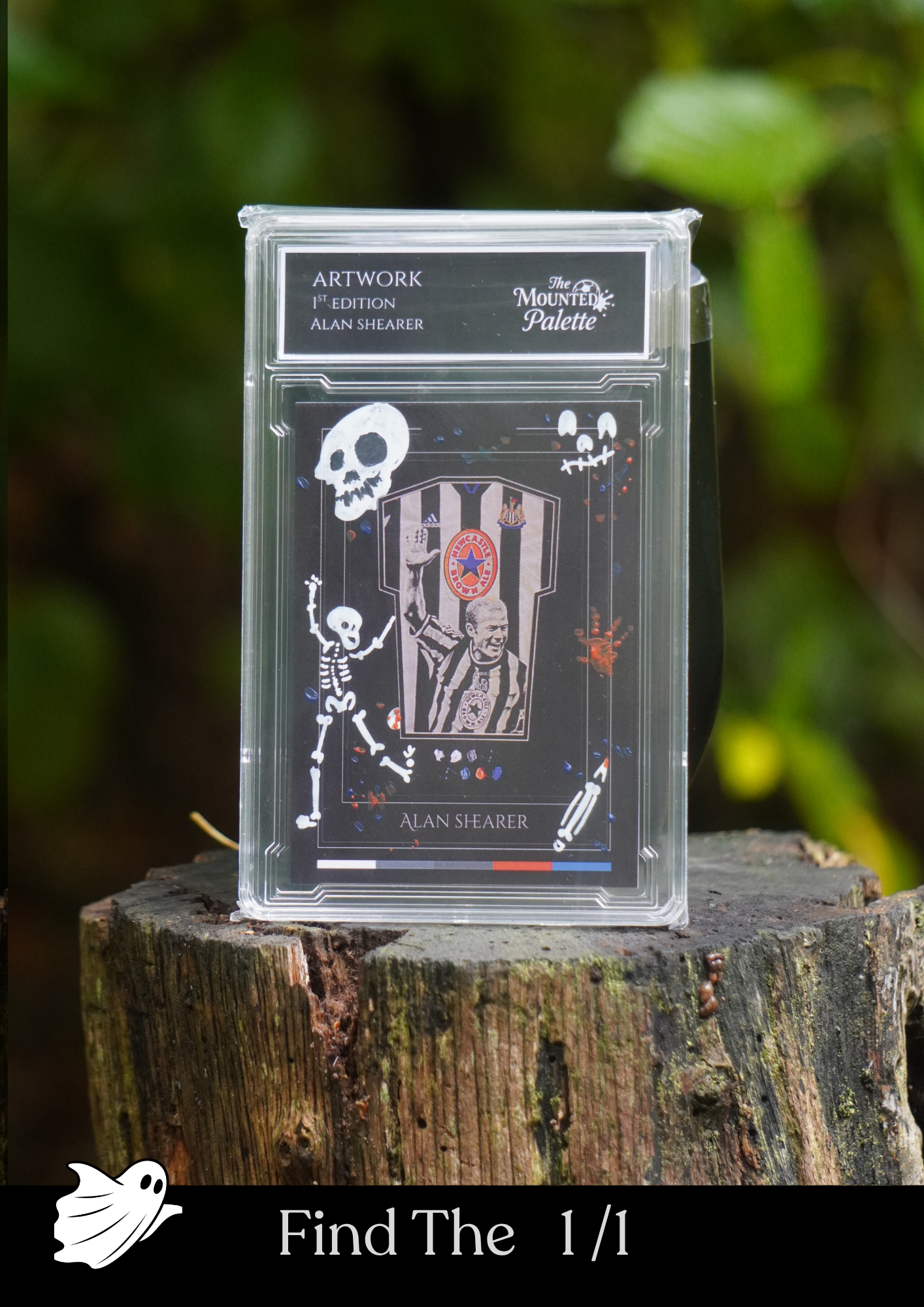 Trading Card Mystery Box